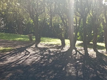 Residential Land