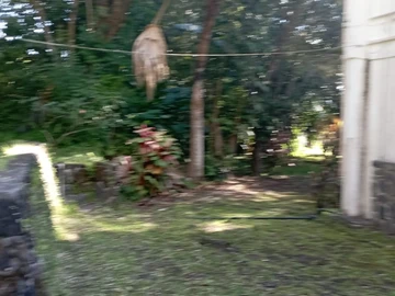 Residential Land