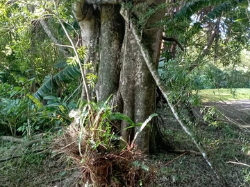Residential Land