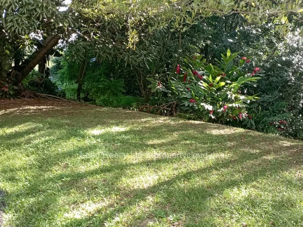 Terrain À Floreal