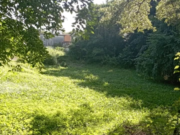 Residential Land